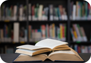 Novel Book